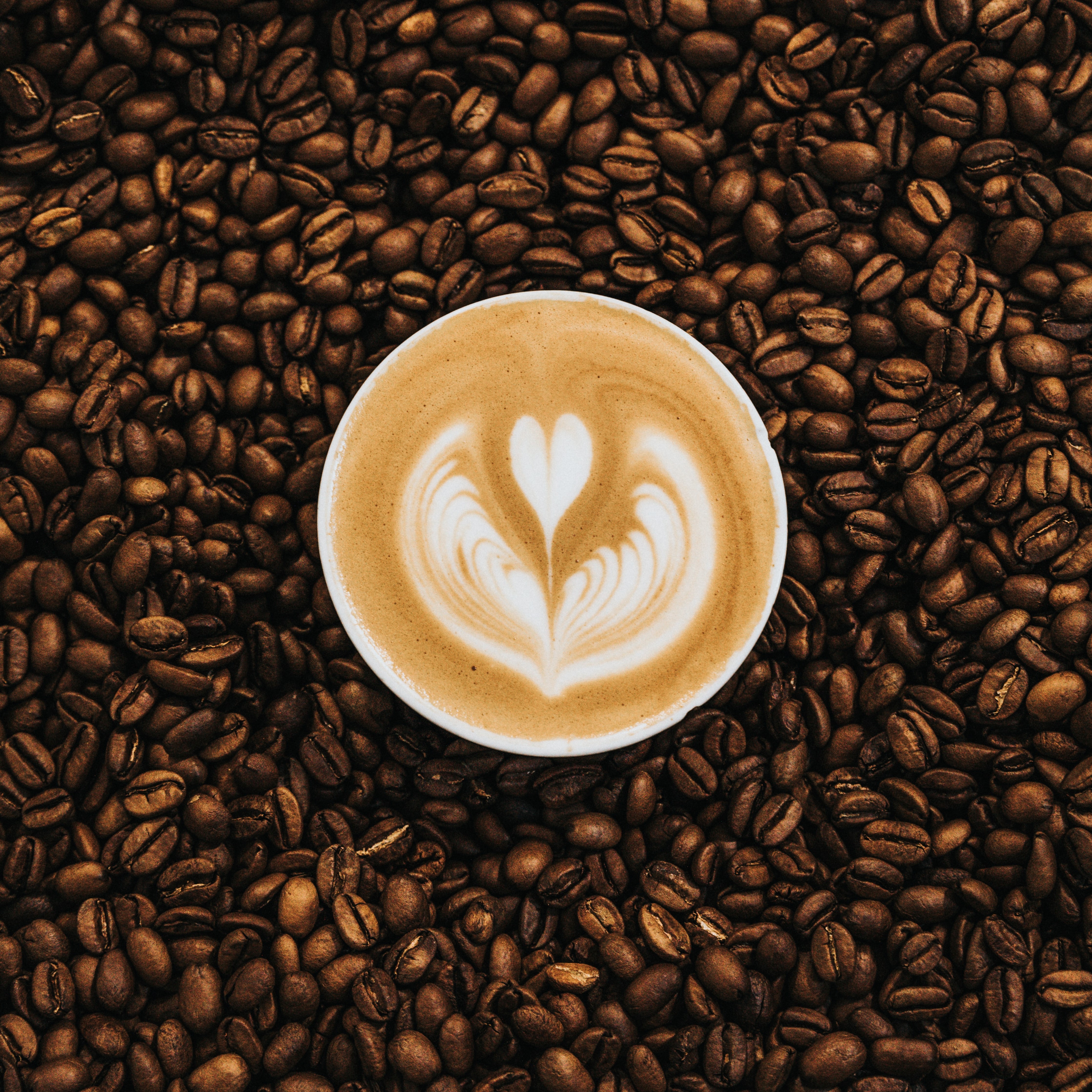A coffee with heart latte art sitting on coffee beans.